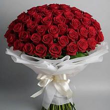 Букет 101 Красная роза Блэк Мэджик в Волочаевке-2