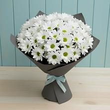 Букет цветов из:  Хризантемы в Волочаевке-2