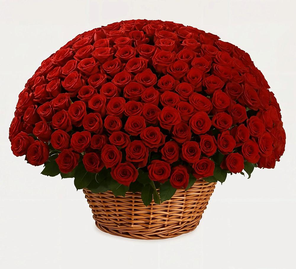 Премиум букет из: Розы в Волочаевке-2