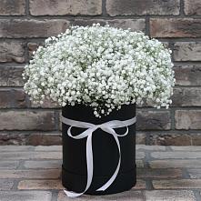 Цветочная композиция из Гипсофила в шляпной коробке в Волочаевке-2