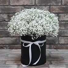 Цветочная композиция из Гипсофила в шляпной коробке в Волочаевке-2