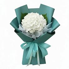 Букет цветов из:  Гортензия в Волочаевке-2